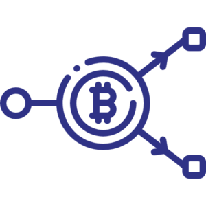 Digital Assets Icon D